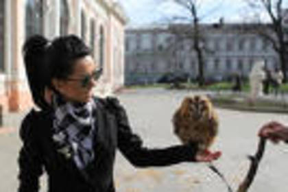 inna-84 - inna