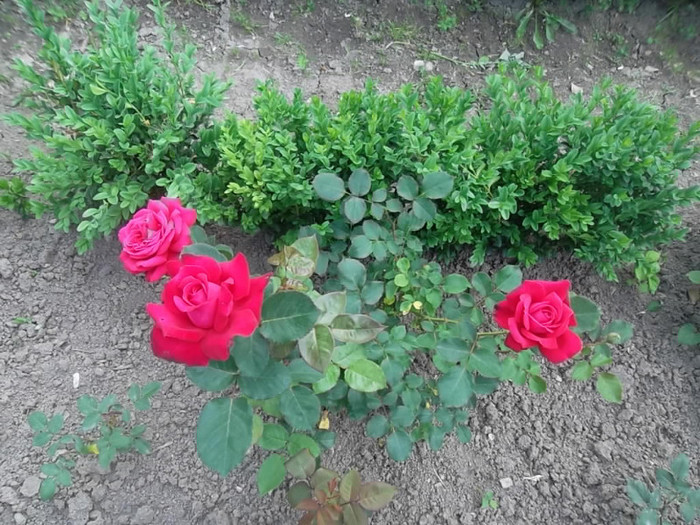 ?