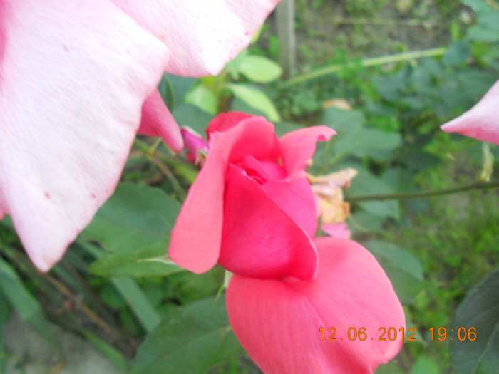 DSCN1399