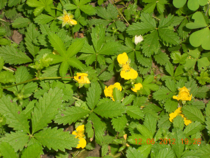 DSCN1417