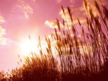 I love summer! - Vine VaRrA