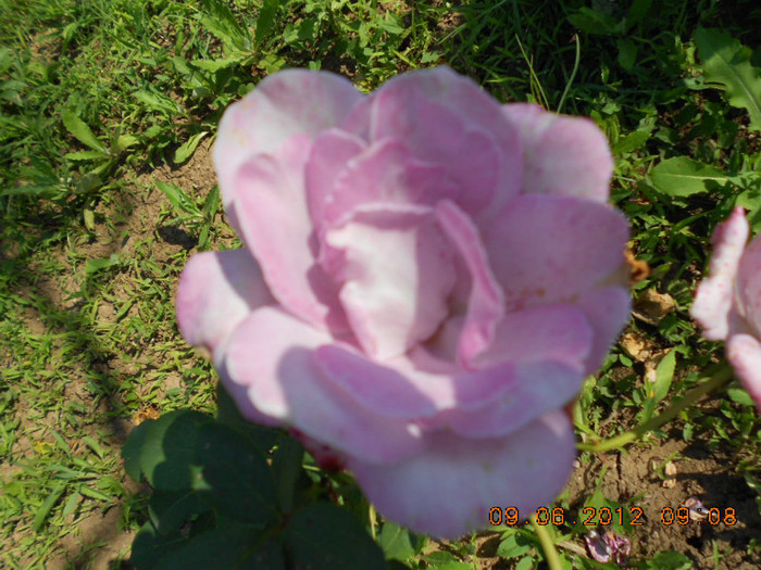 DSCN3725