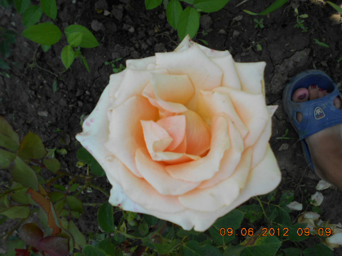 DSCN3735