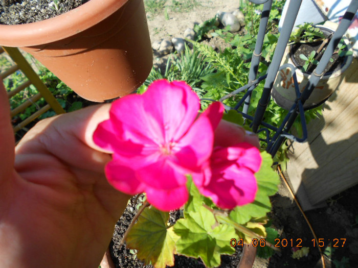 DSCN3507