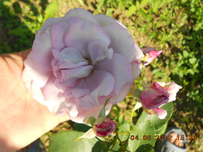 DSCN3537