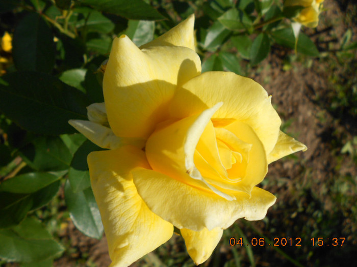 DSCN3540