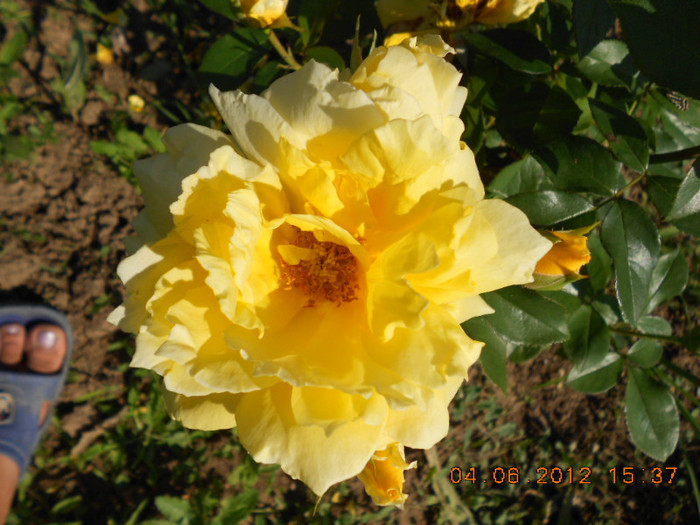 DSCN3541