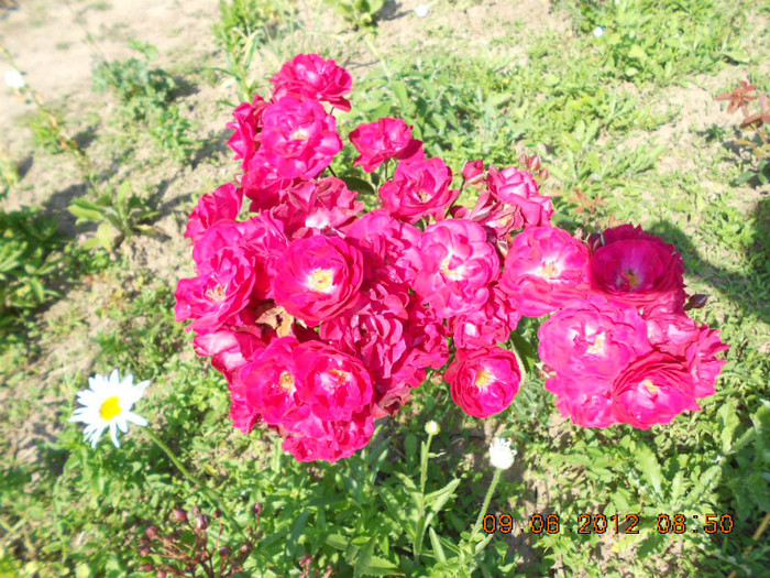 DSCN3648