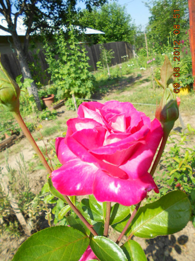 DSCN3653