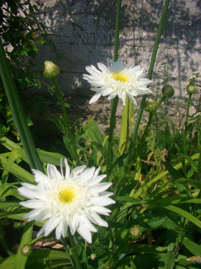 CIMG5805