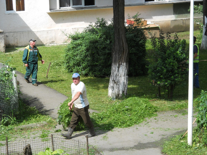 ..chiar trei bărbaţi - D-ale blocului