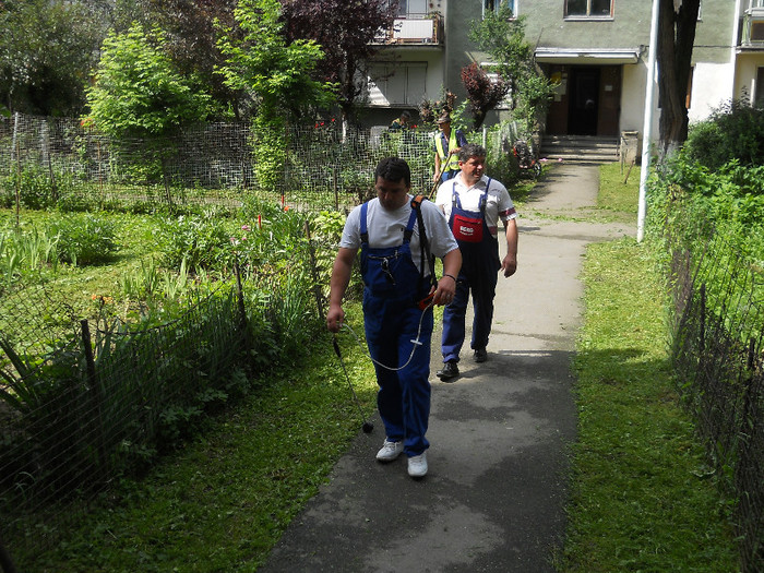 şi Berg-ul revizuieşte ppperiodic