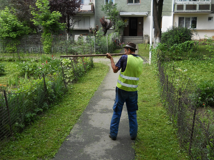 la împuşcat de iepuroaică