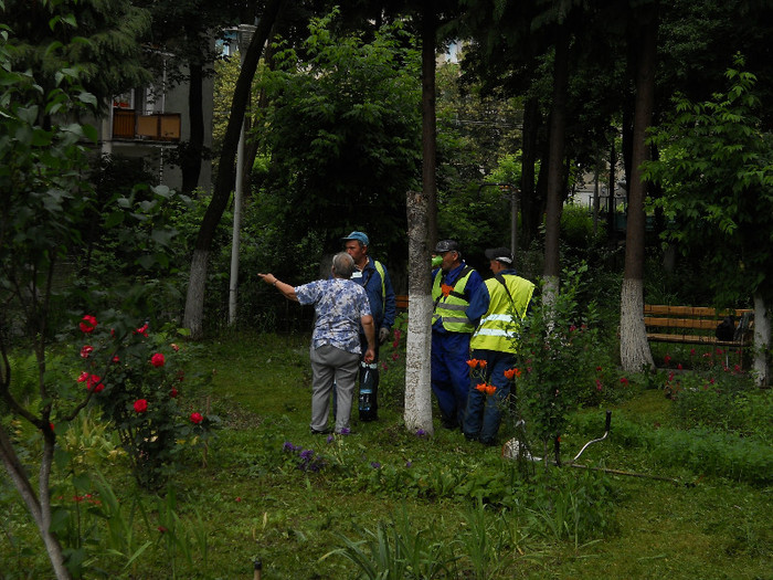 coordonare privind organizarea muncii