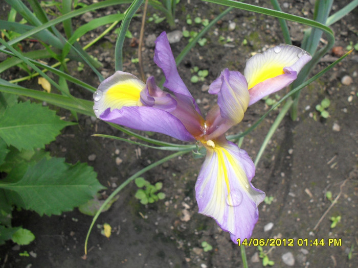 SDC12091