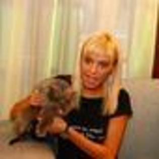 diana-dumitrescu-126848l-thumbnail_gallery - diana dumitrescu