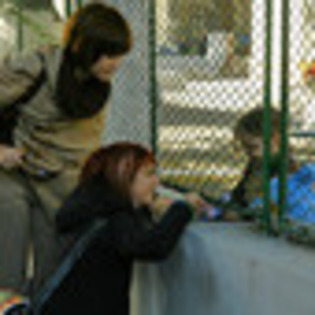 weekend-cu-mama-383595l-thumbnail_gallery