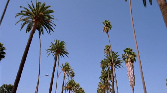 sonny with a chance season 1 episode 1 HD 29525 sonny with a chance season 1 episode 1 HD 29525