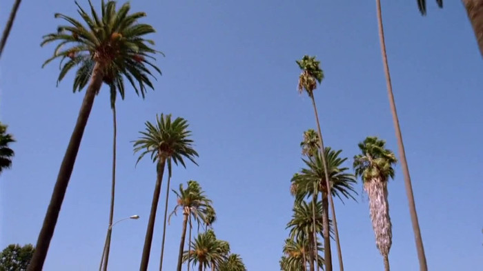sonny with a chance season 1 episode 1 HD 29534 sonny with a chance season 1 episode 1 HD 29534