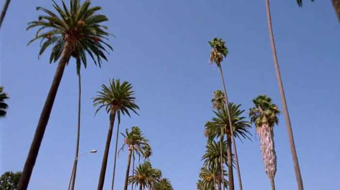 sonny with a chance season 1 episode 1 HD 29540 - Sonny With A Chance Season 1 Episode 1 - First Episode Part o59