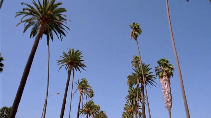 sonny with a chance season 1 episode 1 HD 29542 - Sonny With A Chance Season 1 Episode 1 - First Episode Part o59