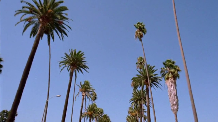 sonny with a chance season 1 episode 1 HD 29553 - Sonny With A Chance Season 1 Episode 1 - First Episode Part o59
