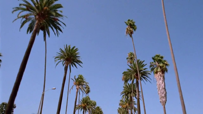 sonny with a chance season 1 episode 1 HD 29559