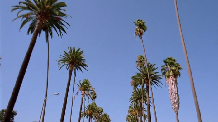 sonny with a chance season 1 episode 1 HD 29565 - Sonny With A Chance Season 1 Episode 1 - First Episode Part o59