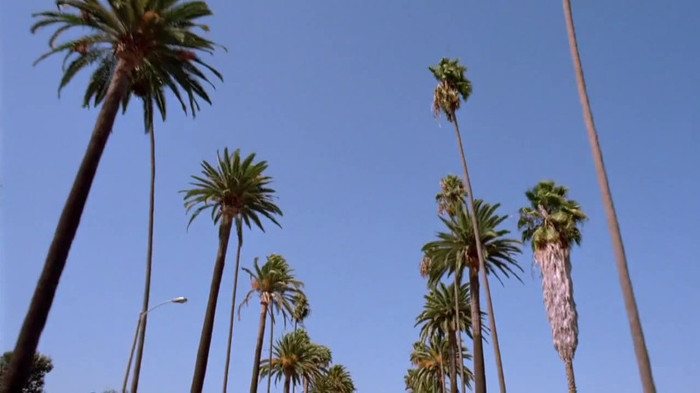 sonny with a chance season 1 episode 1 HD 29572 sonny with a chance season 1 episode 1 HD 29572