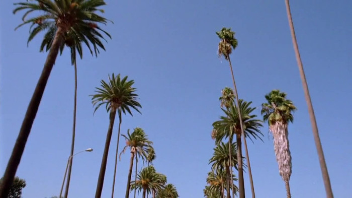 sonny with a chance season 1 episode 1 HD 29583 sonny with a chance season 1 episode 1 HD 29583