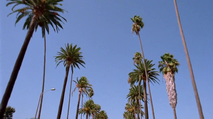 sonny with a chance season 1 episode 1 HD 29591 sonny with a chance season 1 episode 1 HD 29591