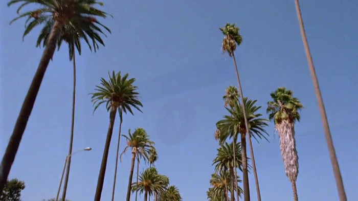 sonny with a chance season 1 episode 1 HD 29595 sonny with a chance season 1 episode 1 HD 29595