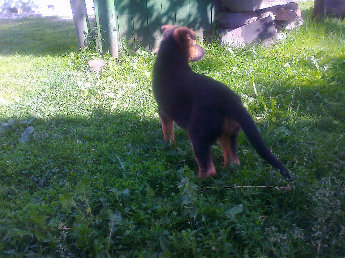 Fénykép1872 - 0 0 0 b 2012 Mai 18