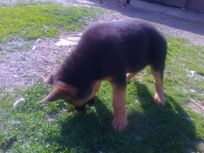 Fénykép1882 - 0 0 0 b 2012 Mai 18