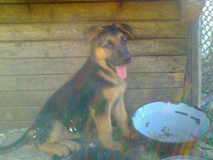 Fénykép1912 - 0 0 0 b 2012 Mai 18