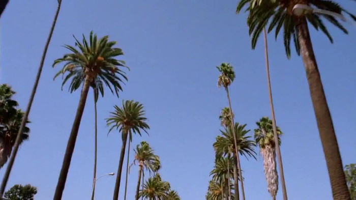 sonny with a chance season 1 episode 1 HD 29439 sonny with a chance season 1 episode 1 HD 29439