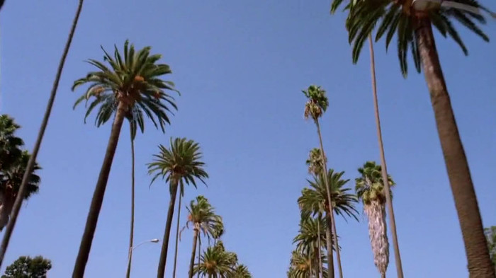 sonny with a chance season 1 episode 1 HD 29446 sonny with a chance season 1 episode 1 HD 29446