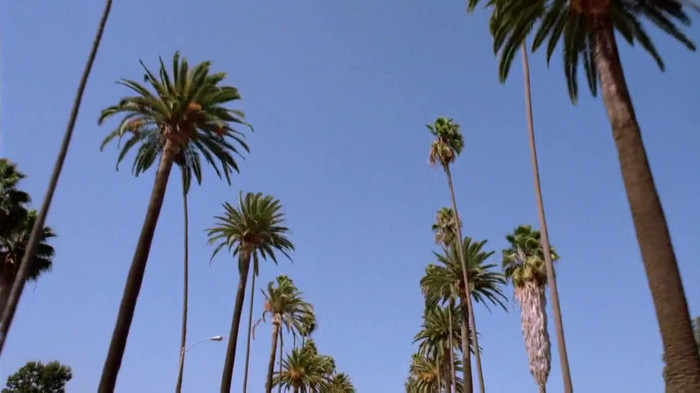 sonny with a chance season 1 episode 1 HD 29453 sonny with a chance season 1 episode 1 HD 29453