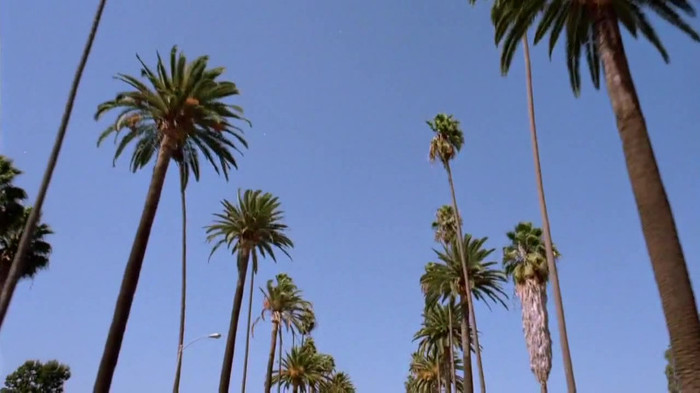 sonny with a chance season 1 episode 1 HD 29457 sonny with a chance season 1 episode 1 HD 29457