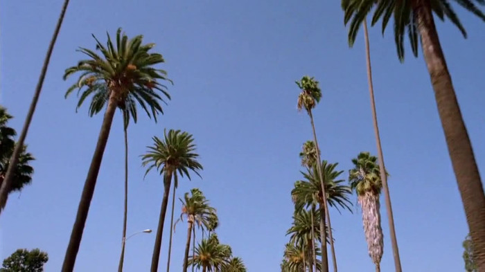 sonny with a chance season 1 episode 1 HD 29467 sonny with a chance season 1 episode 1 HD 29467