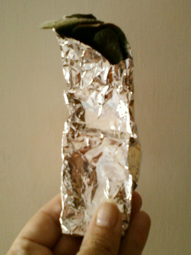 14 iunie 2012-flori 014