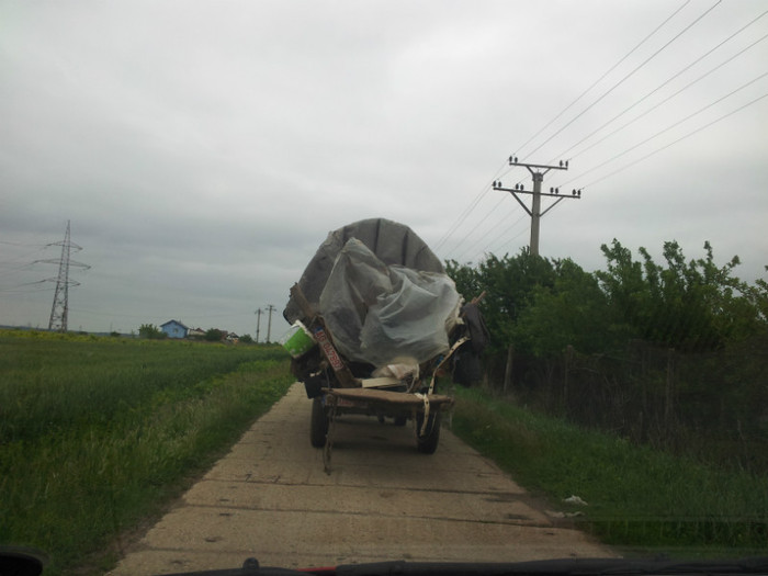 20120518_135028; Nomazi
