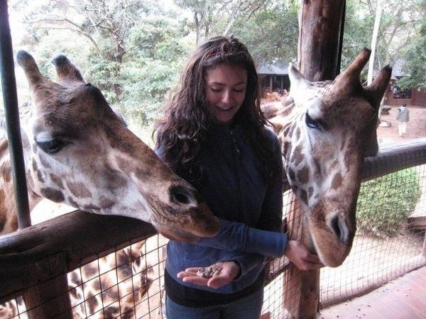 ღKatherineღ