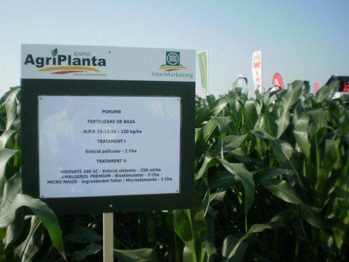P6090388 - Agriplanta - 2012