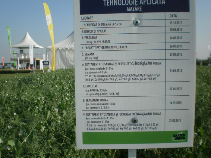 P6090392 - Agriplanta - 2012