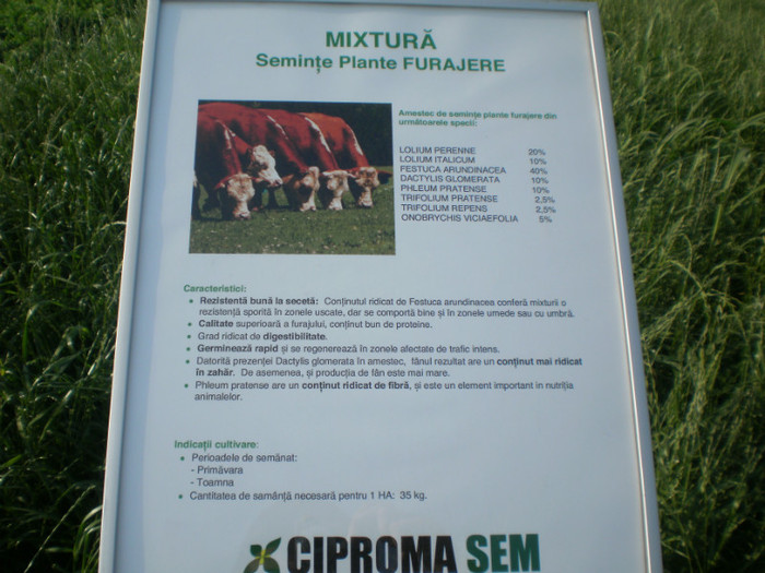 P6090396 - Agriplanta - 2012