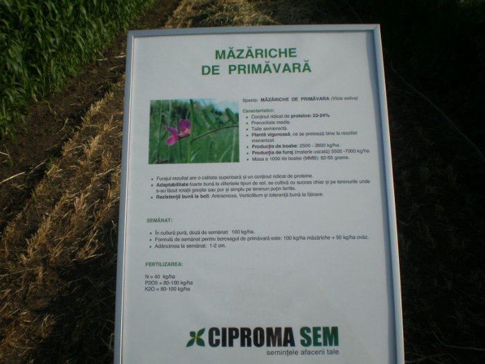 P6090402 - Agriplanta - 2012