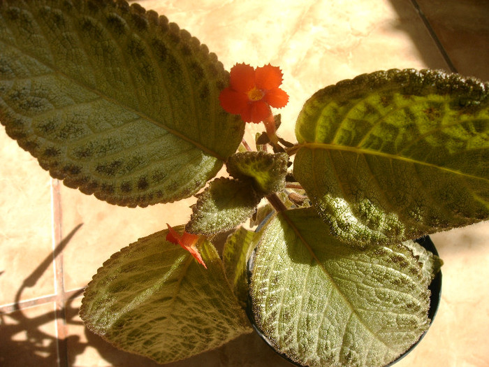 IMAG0018