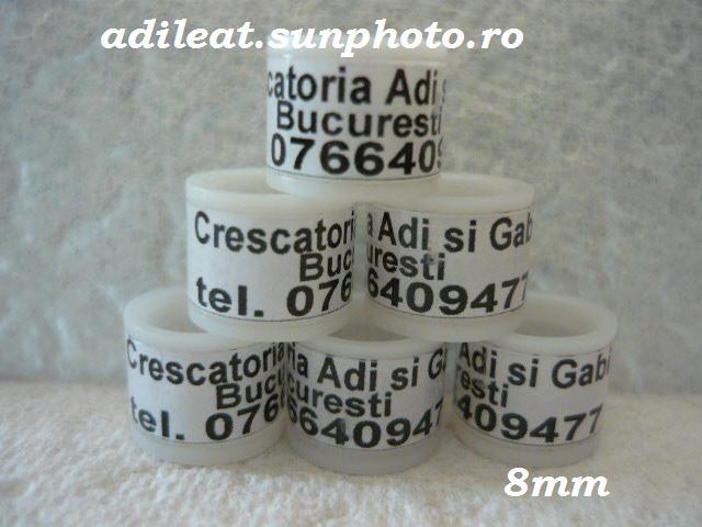 www.adileat.sunphoto.ro - 1-A-INELE PERSONALIZATE 2013