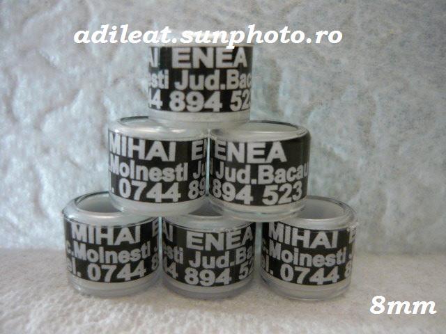 www.adileat.sunphoto.ro - 1-A-INELE PERSONALIZATE 2013